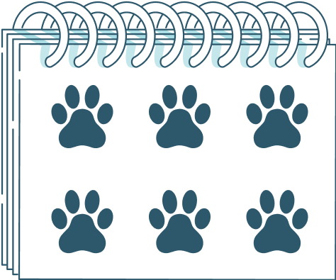 Si está en plena forma