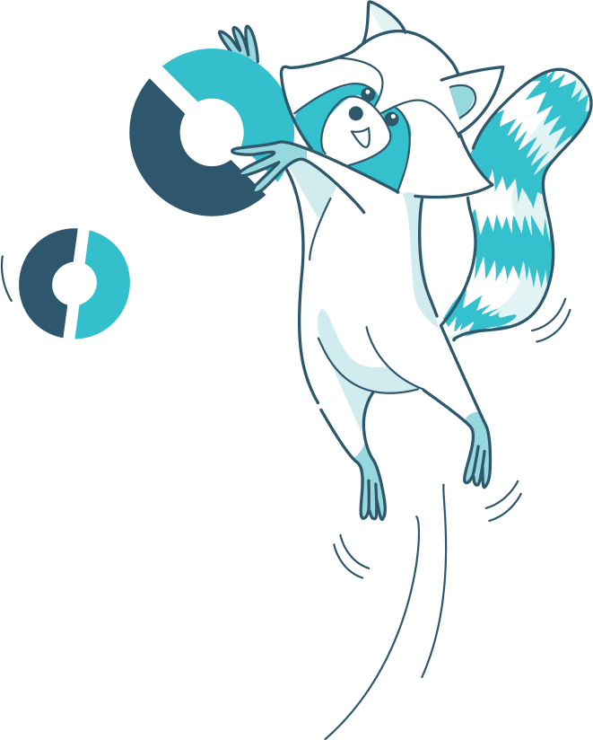 Raccoon illustration